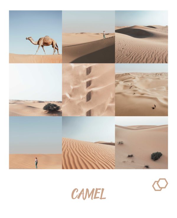 Camel Preset