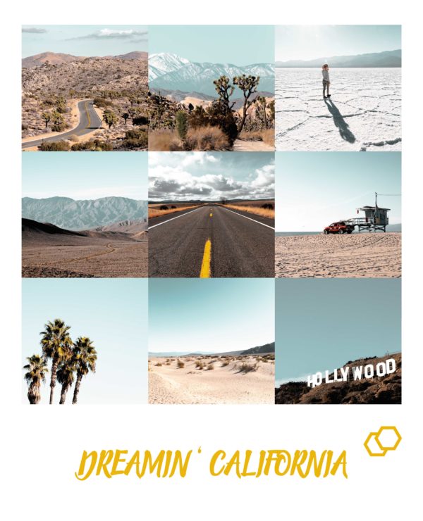 Dreamin' California Preset