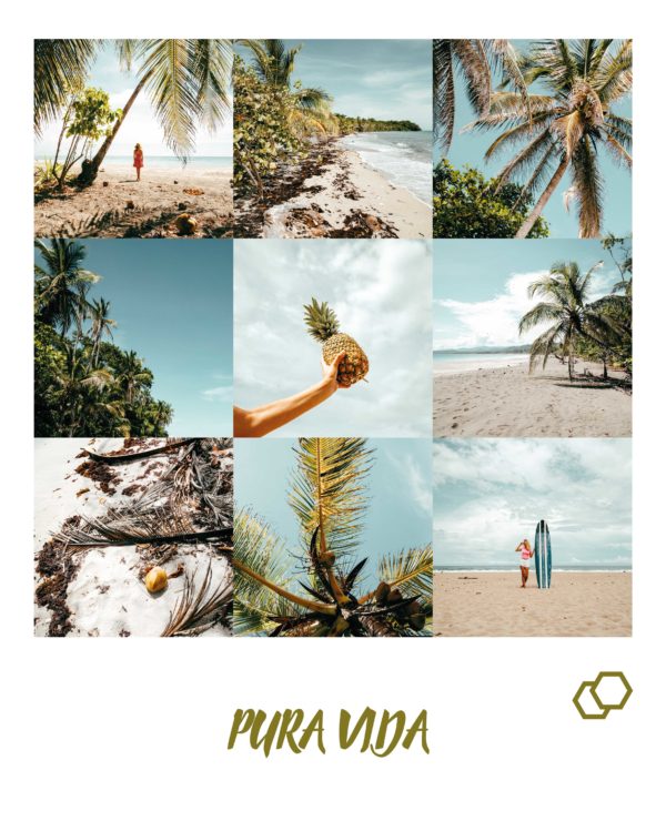 Pura Vida Preset