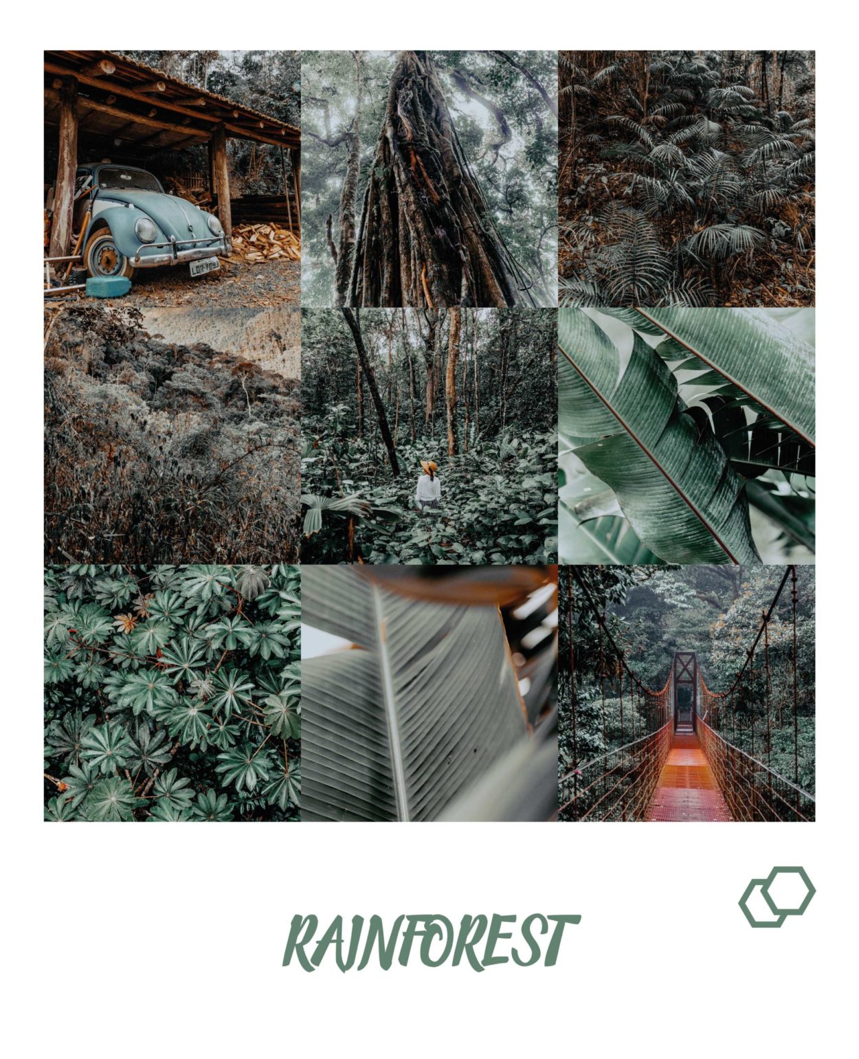 Rainforest Preset