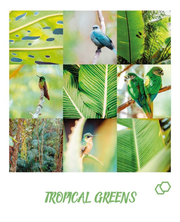 Tropical Greens Preset