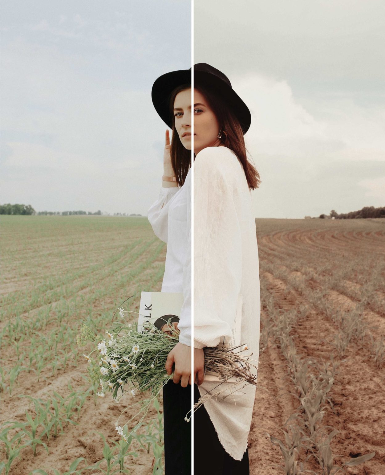 Moody Brown Preset - Image 3