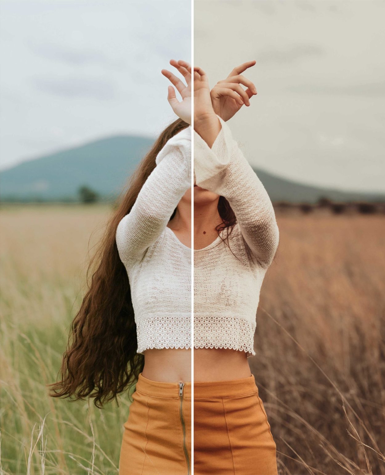 Moody Brown Preset - Image 4